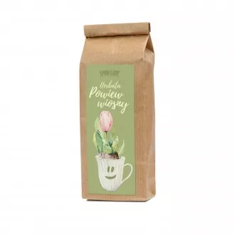 Herbatka "Powiew wiosny"