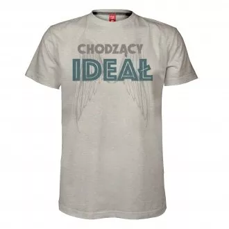 Koszulka męska "Chodzący ideał"