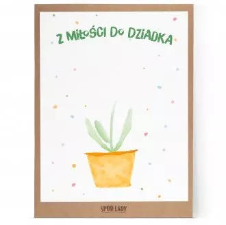 Obrazek "Kwiatek dla dziadka"