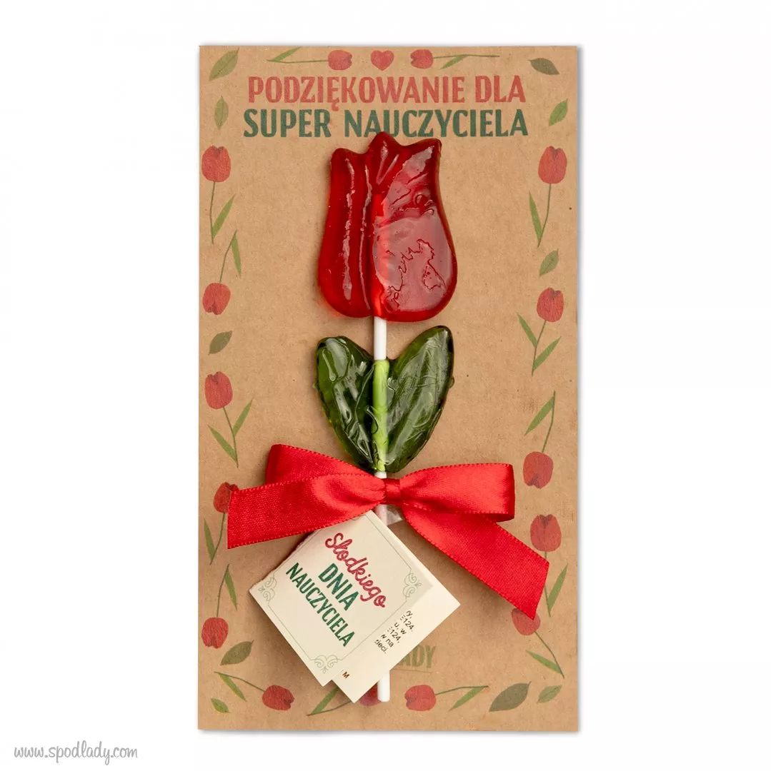 Lizaki dla Nauczyciela - drugi 50% taniej