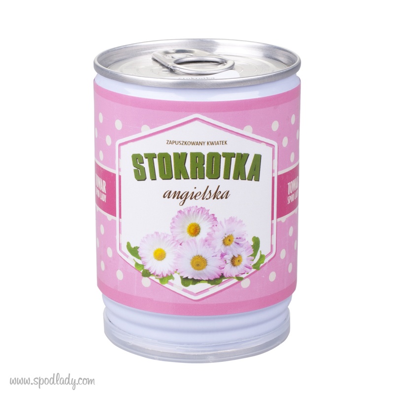 Stokrotka w puszce