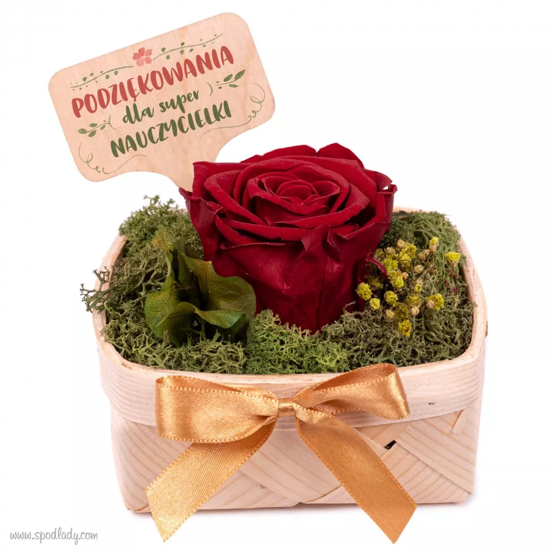 Naturalna, wieczna ra w prezencie dla nauczycielki