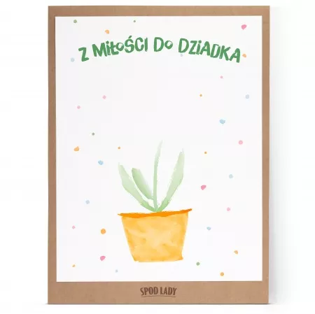 Obrazek "Kwiatek dla dziadka"